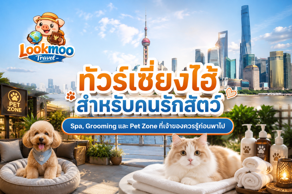ทัวร์เซี่ยงไฮ้สำหรับคนรักสัตว์ Spa, Grooming และ Pet Zone ที่เจ้าของควรรู้ก่อนพาไป