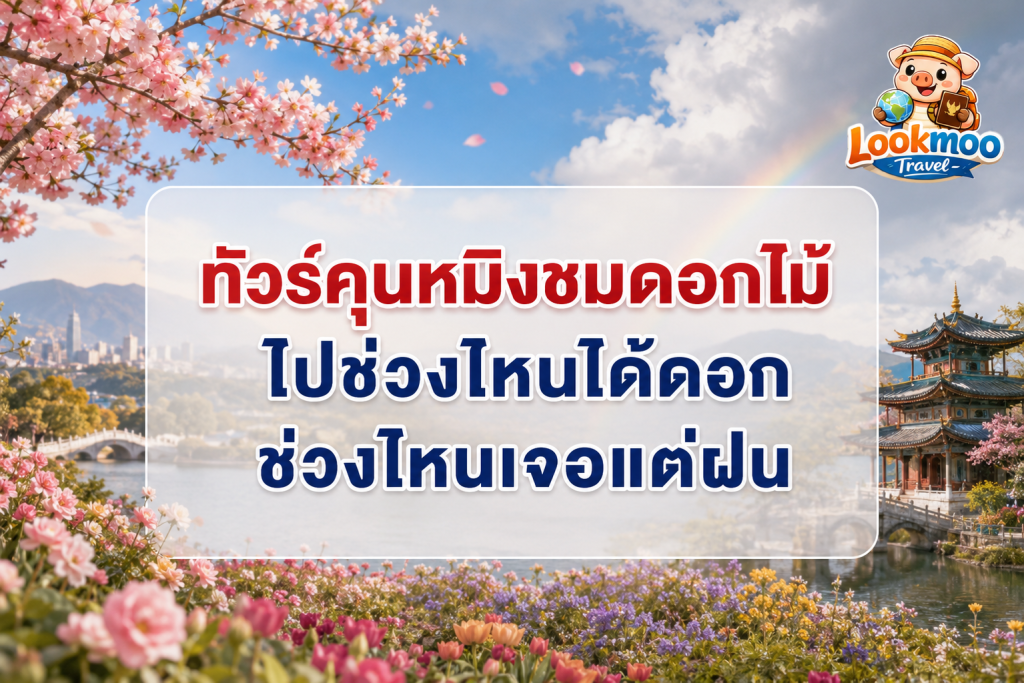 ทัวร์คุนหมิงชมดอกไม้ ไปช่วงไหนได้ดอก ช่วงไหนเจอแต่ฝน