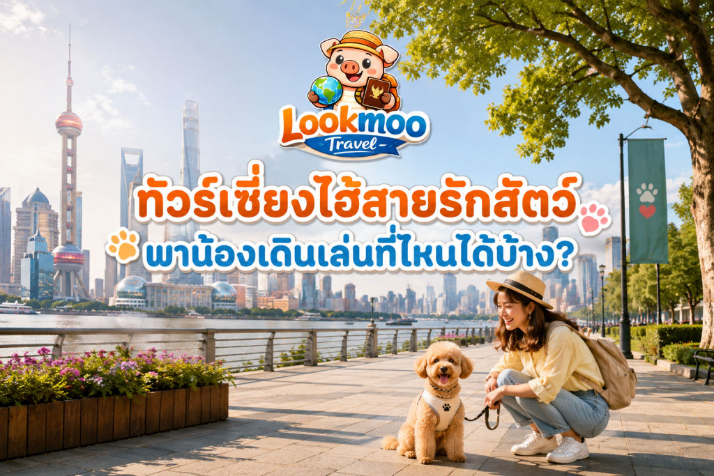 ทัวร์เซี่ยงไฮ้สายรักสัตว์ พาน้องเดินเล่นที่ไหนได้บ้าง?